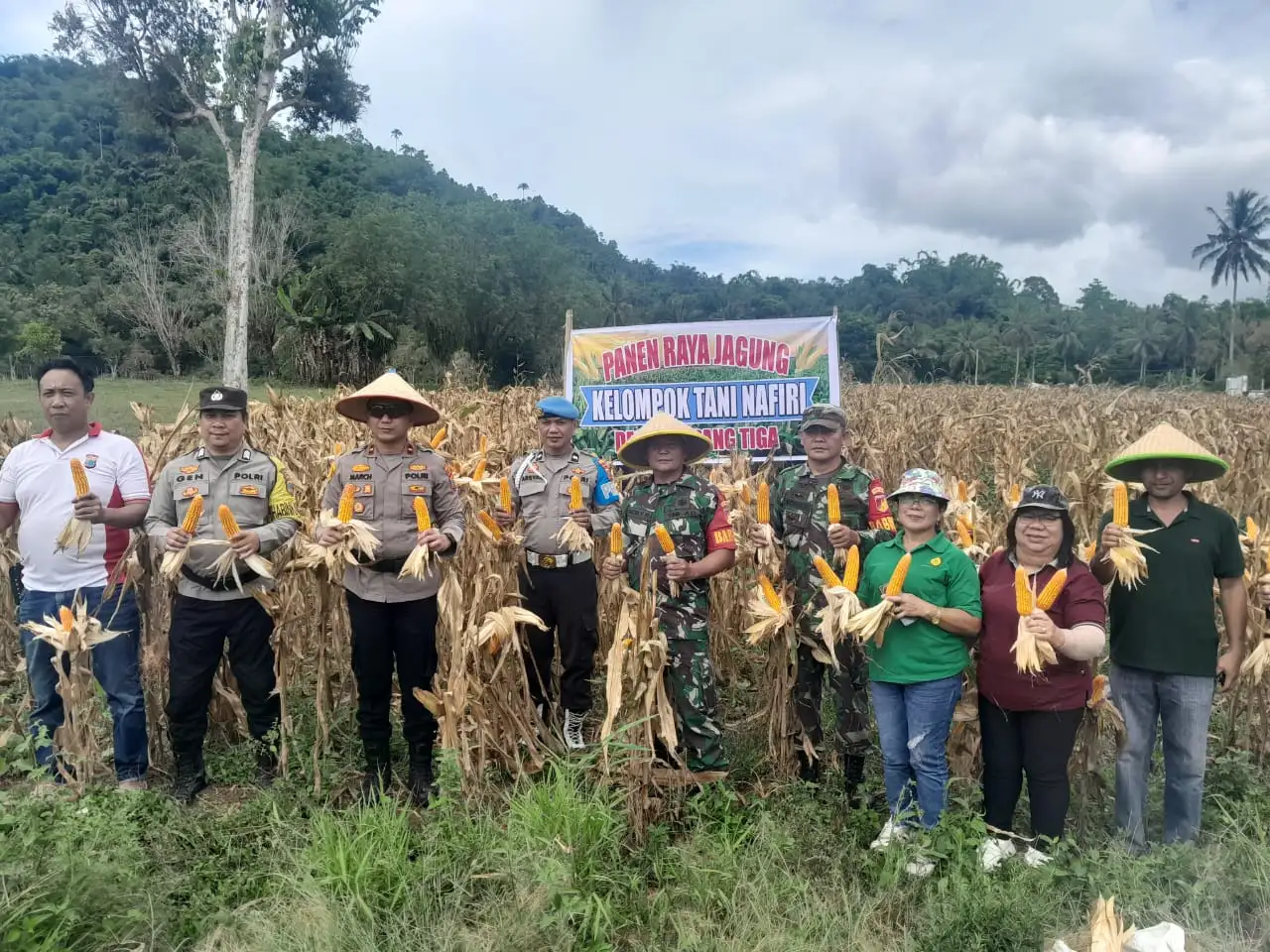 Forkopinka Langowan Utara Bersama Polsek Langowan Hadiri Panen Jagung di Tempang Tiga
